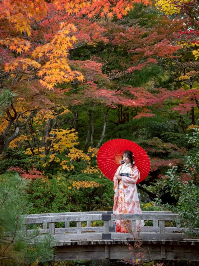 紅葉の彩りに包まれて🍁

晴れ渡る秋空のもと、紅葉の見頃を迎えた南湖公園内にある翠楽苑で二十歳の記念撮影をしました📸

Hair/着付け: @haruka__shioda 
撮影: @reef_teru（ @studio_reef）
ロケーション：翠楽苑

振袖レンタルからヘア・着付け・撮影まで、当店でトータルサポートいたします。

#白河市 #白河市美容室 #成人式前撮り #振袖レンタル #南湖公園 #翠楽苑 #紅葉